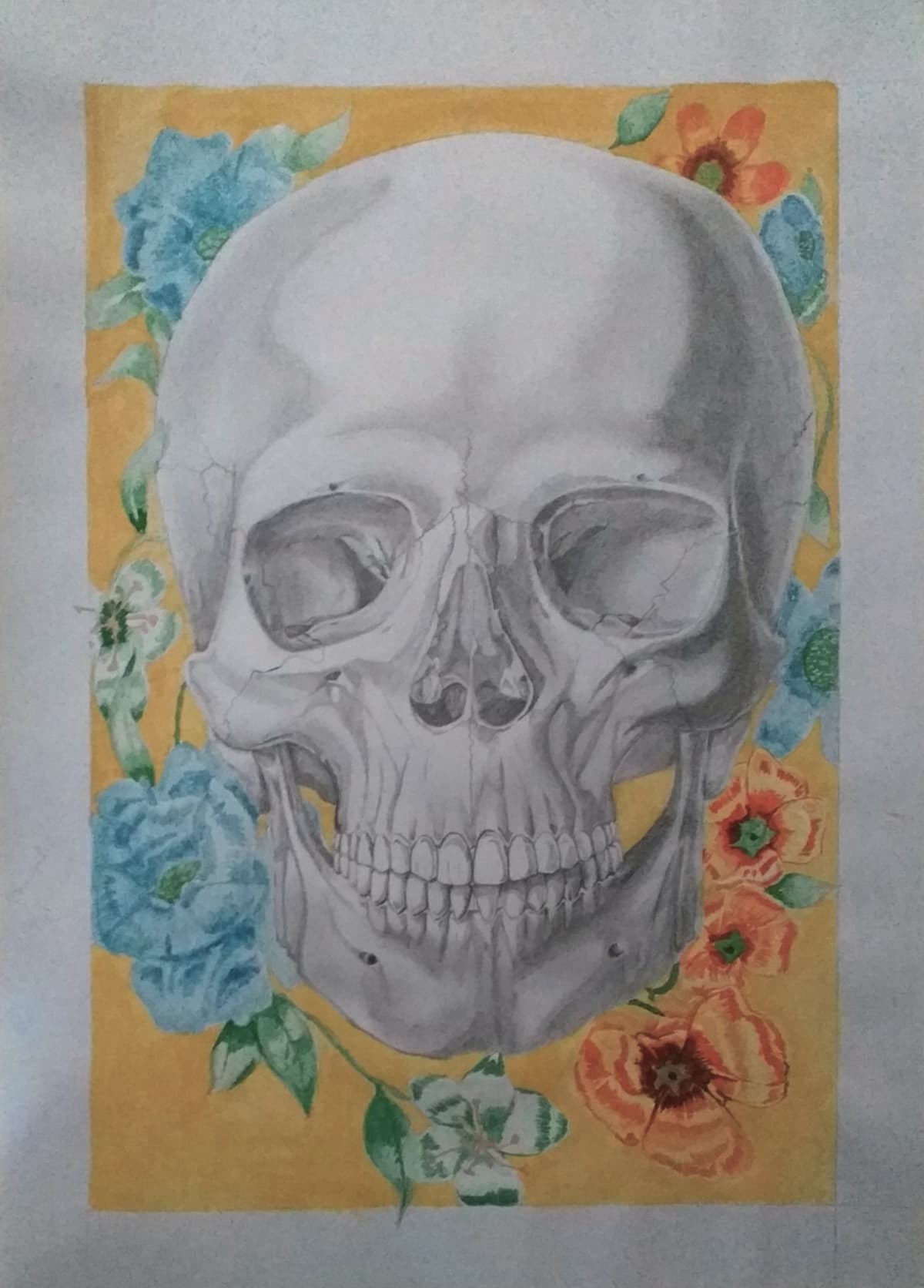 Colored-skull